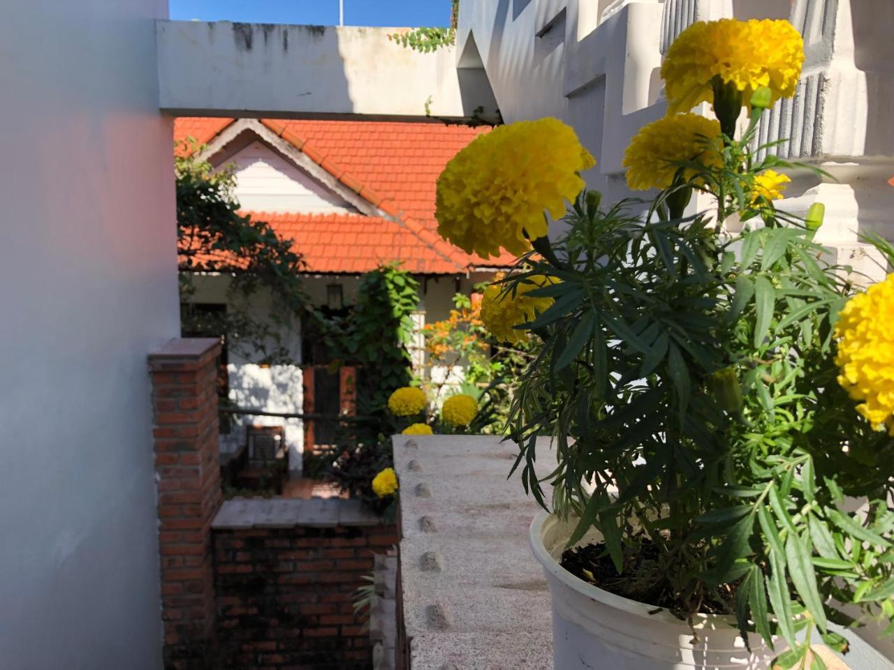 Charming Homestay Hoi An Exterior foto